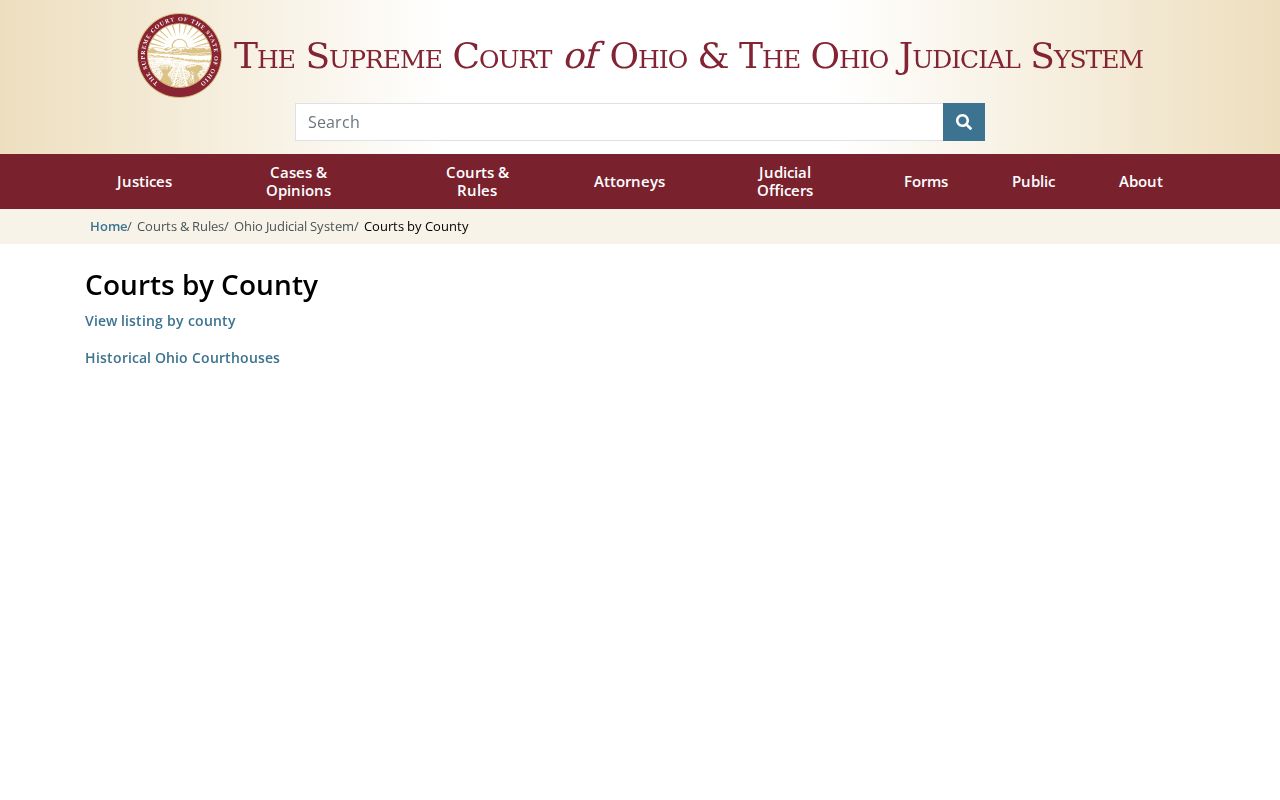 Holmes County case search court division listing in the Ohio trial-court directory